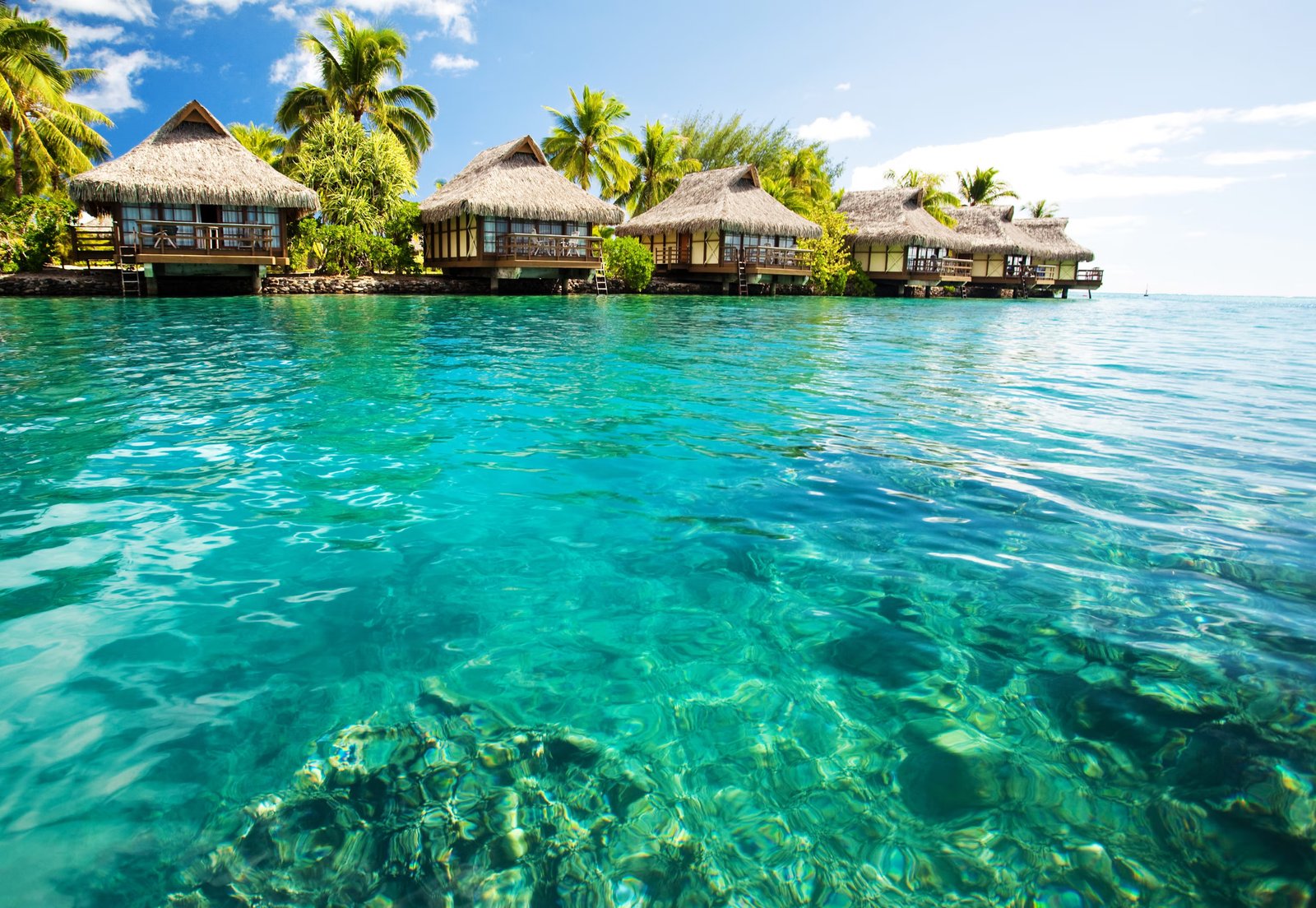 Maldives Tour Package