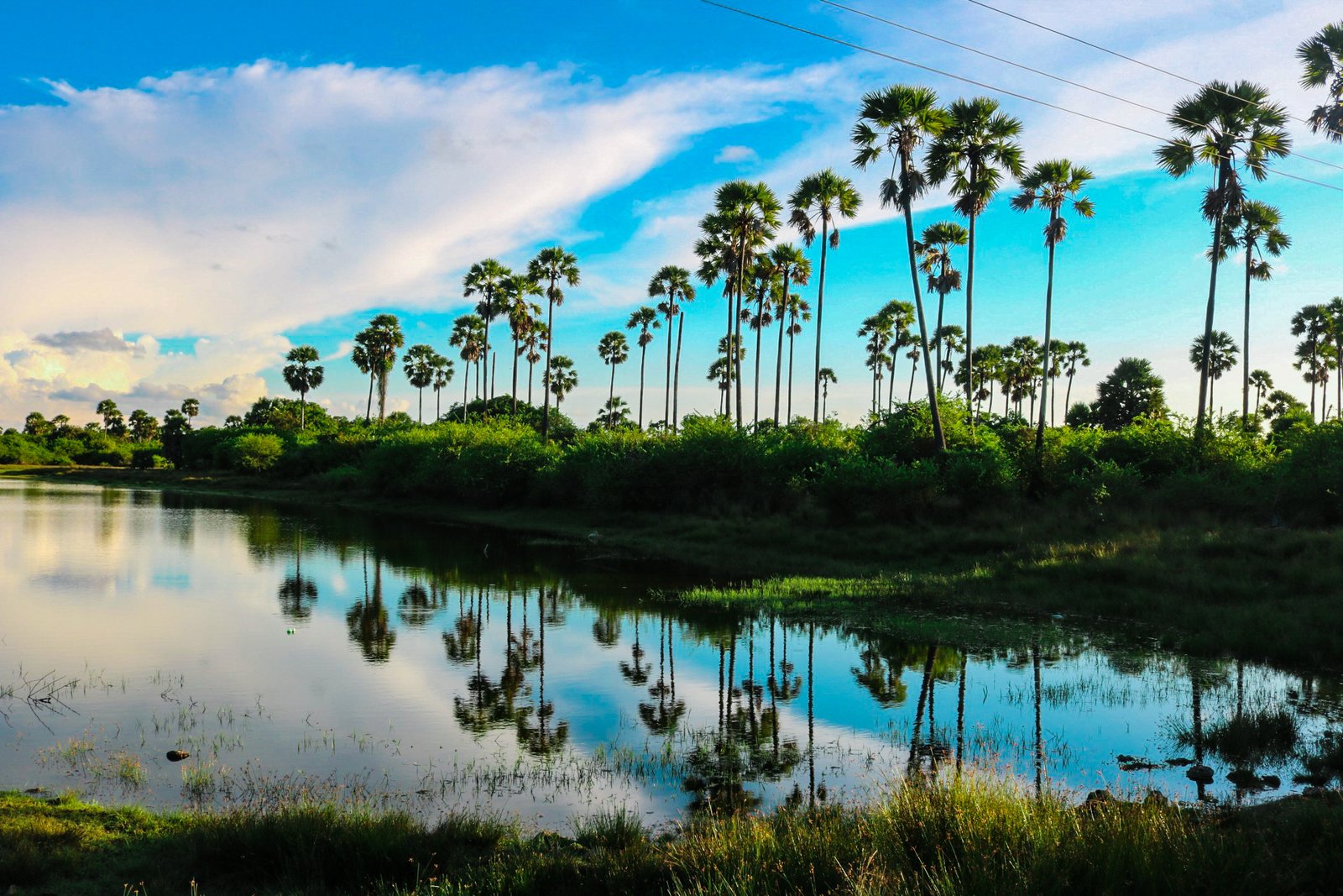 Srilanka Tour Package